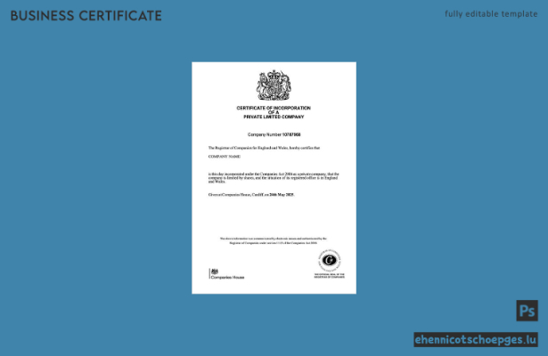 Britische Gründungsurkunde einer privaten Gesellschaft mit beschränkter Haftung (Word- und PDF-Beispiel)